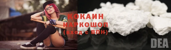 дмт Абаза