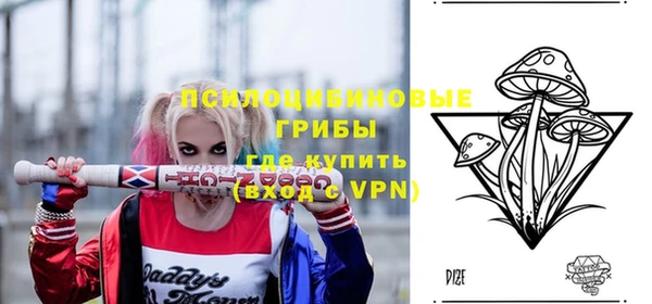 дмт Абаза